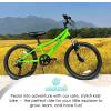 AVASTA Govet 20” Kids Mountain Bike for 6-12 Years Old Boys Girls with Suspension Fork, 6 Speeds Drivetrain, Multiple Colors(Green)