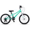 AVASTA Govet 20” Kids Mountain Bike for 6-12 Years Old Boys Girls with Suspension Fork, 6 Speeds Drivetrain, Multiple Colors(Mint Green)